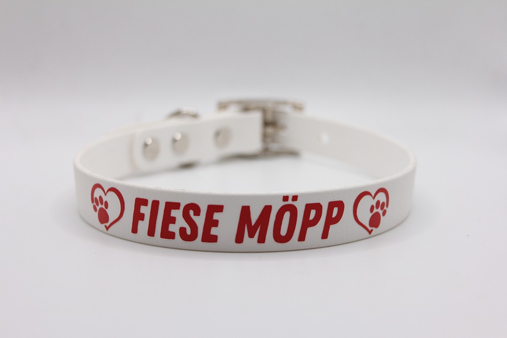 Biothane®-Halsband 'Fiese Möpp' – kölsche Aufschrift & Herzpfoten-Motiv