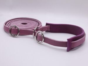 fettleder-retrieverleine9