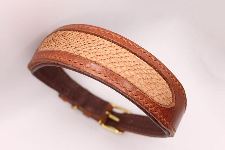 Premiumleder-Halsband 'Dragon Scale' 40mm Cognac, Creme Lachsleder Fischleder