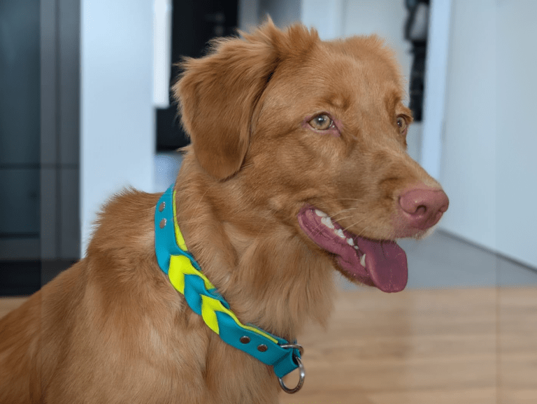 WhatsApp Bild 2024-11-06 um 19.14.20_b15d8d9b