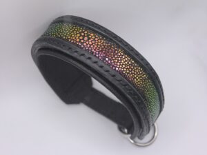 ray1