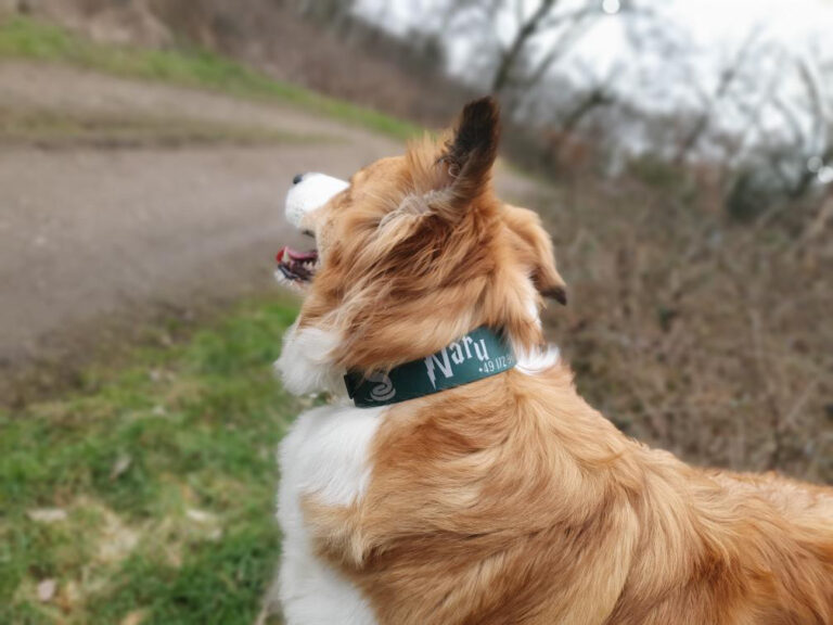 B6D451CF-92DD-41FC-BB8C-6A655BB4C49A