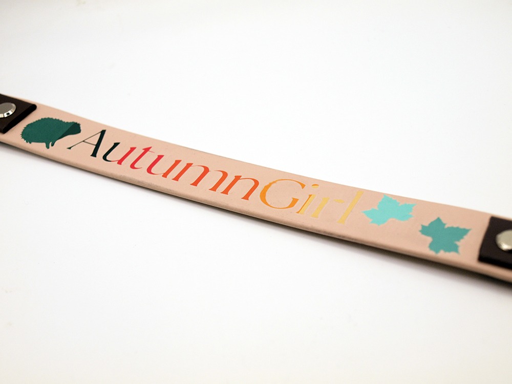Biothane®-Halsband 'Autumn Girl' – mit Igel – wetterfest & individualisierbar