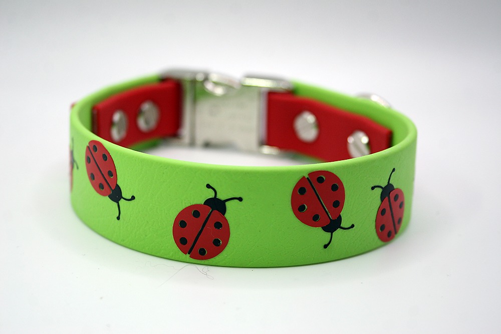 Biothane®-Halsband 'Ladybug Luck' – mit Marienkäfer-Motiv, farbig geplottet