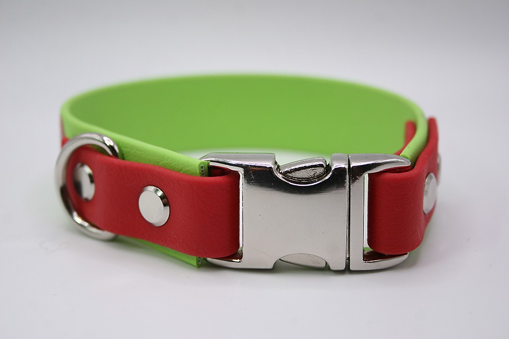 Biothane®-Halsband 'Ladybug Luck' – mit Marienkäfer-Motiv, farbig geplottet