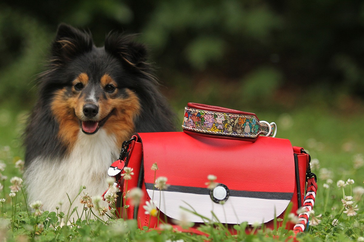 Frigate Bag Challenge