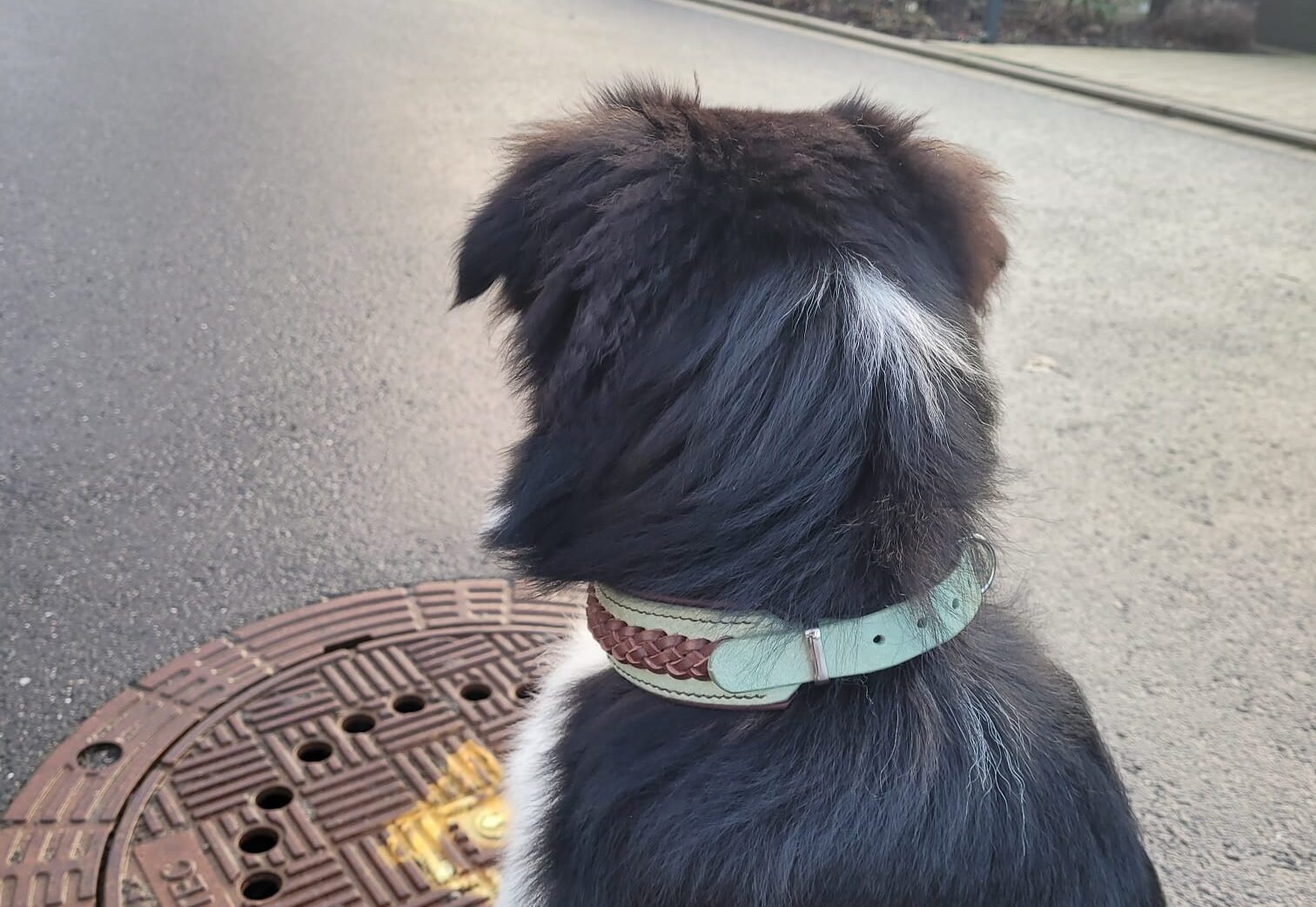 WhatsApp Bild 2024-02-01 um 08.40.08_cdf6fc46