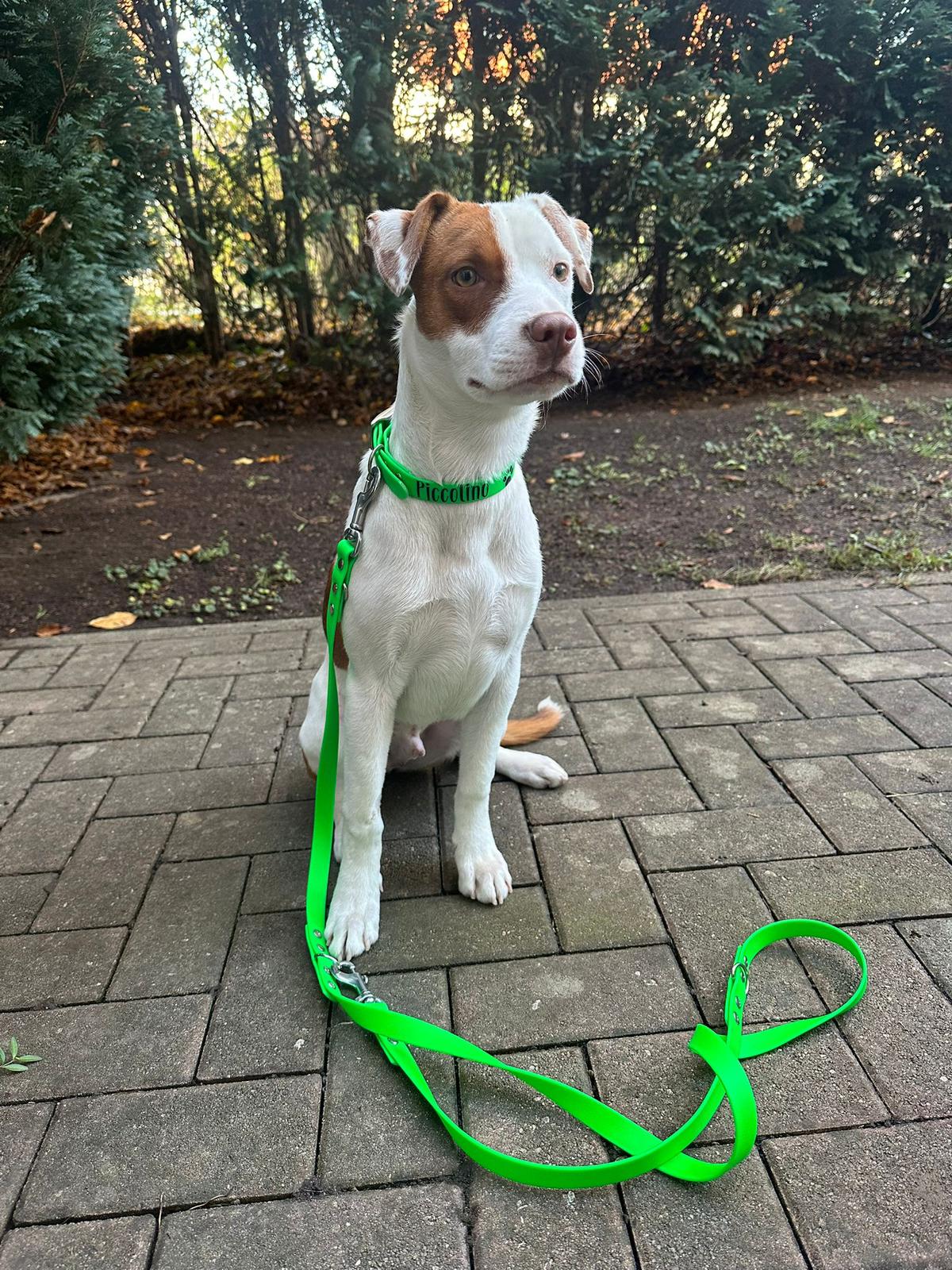 WhatsApp Bild 2024-11-16 um 18.39.13_71a64da0