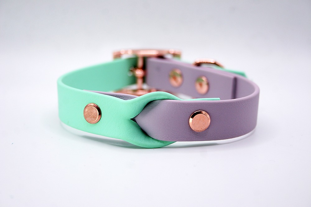 Biothane®-Halsband 'Color Braid' – Zweifarbig geflochten & handmade