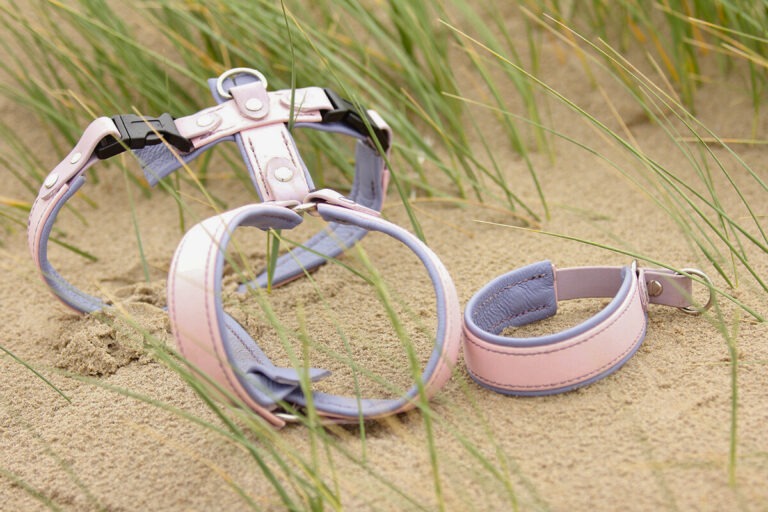 halsband und geschirr