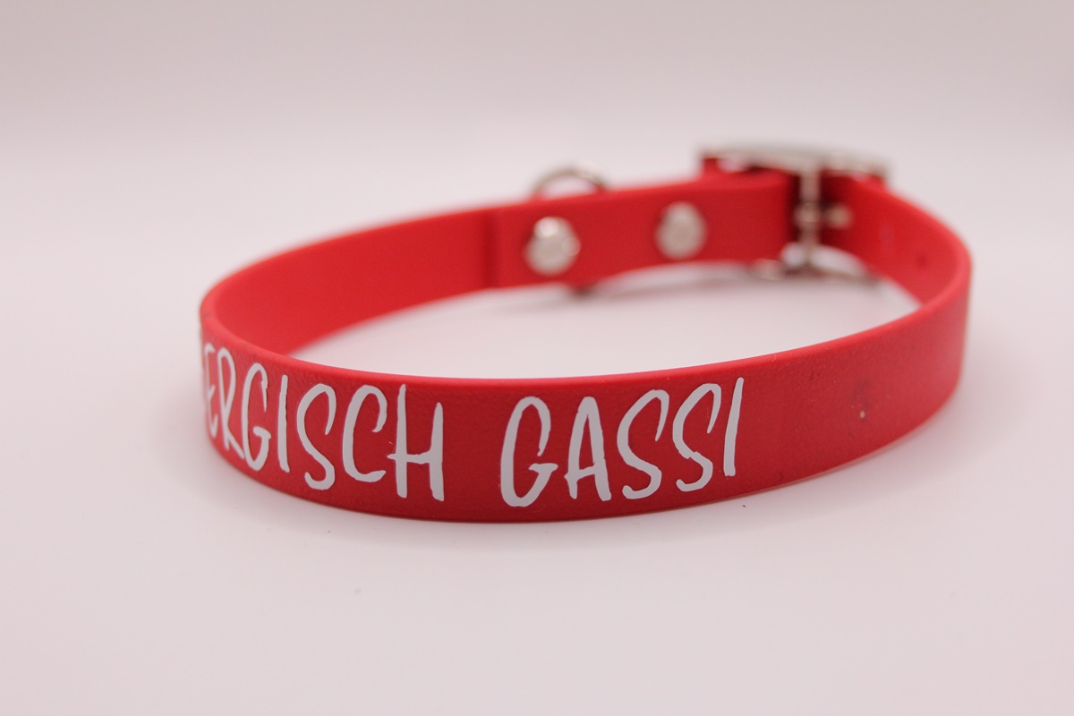 Biothane®-Halsband 'Bergisch Gassi' – mit Heimatgefühl im Gepäck