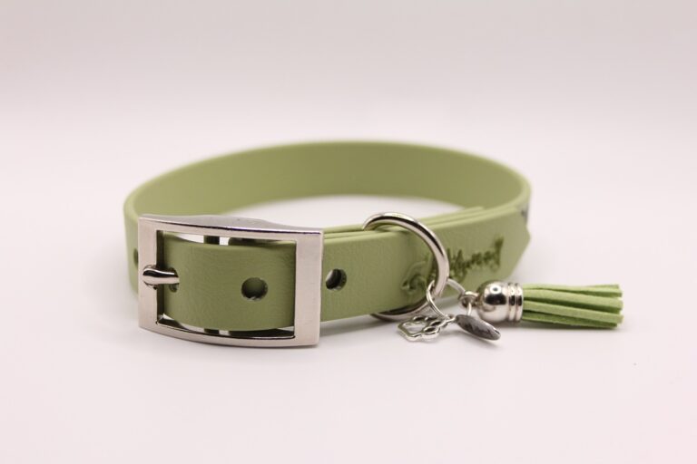 Biothane®-Halsband ‚Ich wedle, also bin ich‘ – Signature Edition – mit Augenzwinkern3