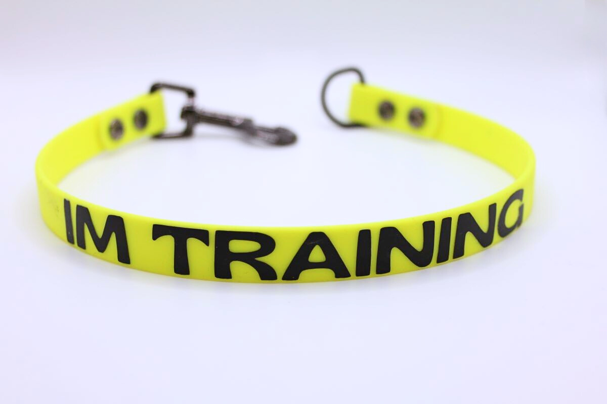 Biothane® Statement-Adapter 'Im Training' – Konzentration statt Ablenkung