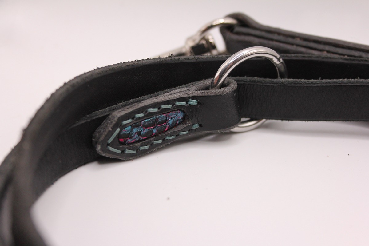 Premiumleder Leine 'Dragon Scale' – mit Fischleder-Details