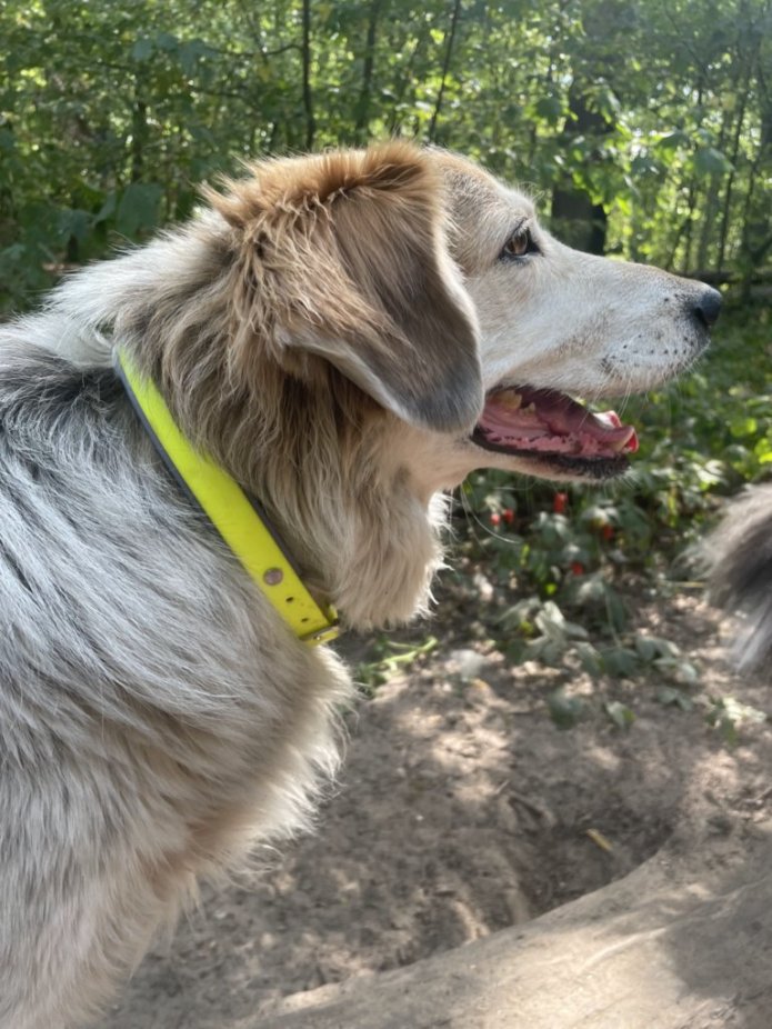 v0-HTuelRHu4Fvu-vwtxFA