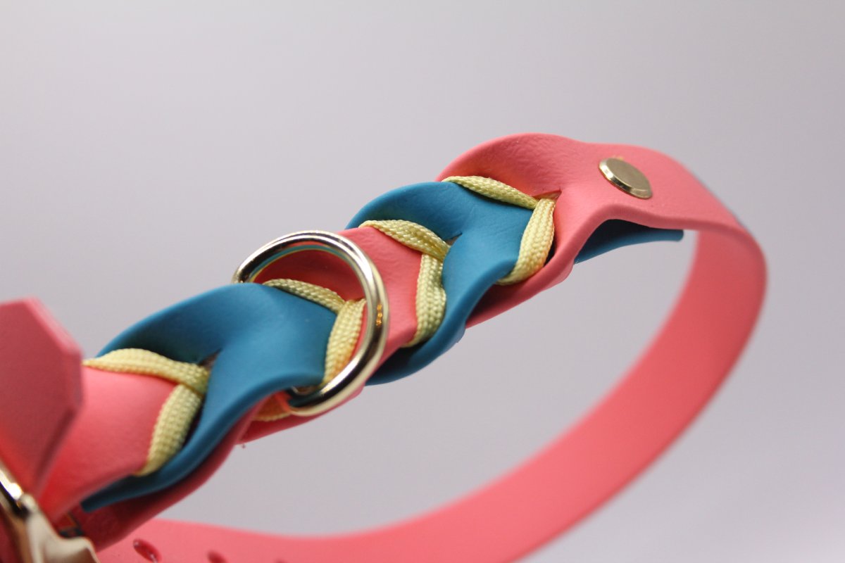 Biothane®-Halsband 'It’s always tea time' – Lost in Wonderland Edition