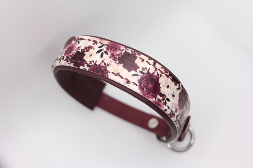 Biothane®-Halsband 'Radiant Arc' – UV-bedruckt mit Nappa-Unterlegung & Biothane-Anbauteil