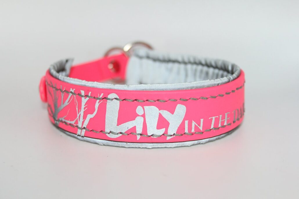 Biothane®-Halsband ‚In the Darkness‘ – reflektierend & personalisiert mit Namen