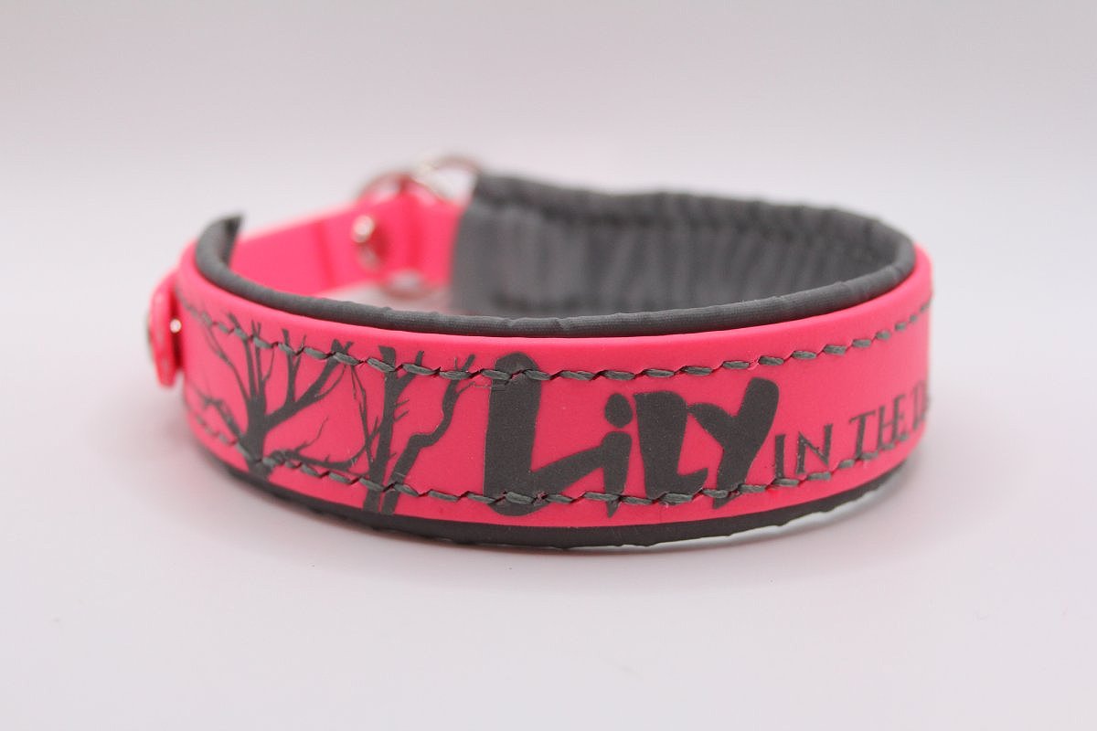 Biothane®-Halsband ‚In the Darkness‘ – reflektierend & personalisiert mit Namen